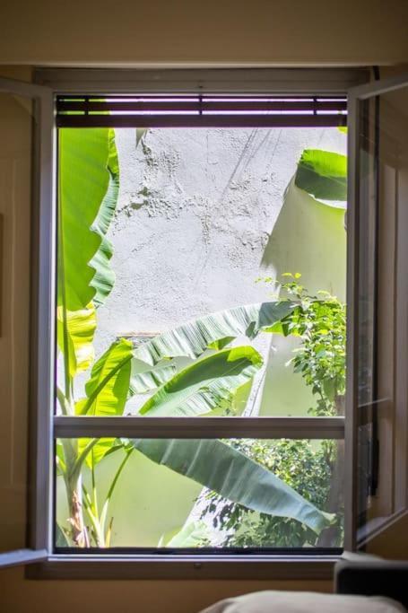Apartament Tranquility Downtown Atena